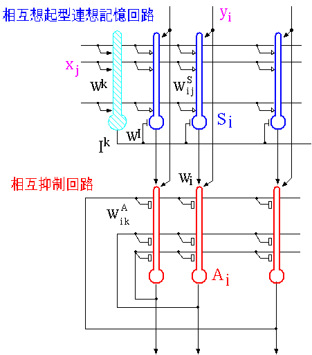 Structure of HASP